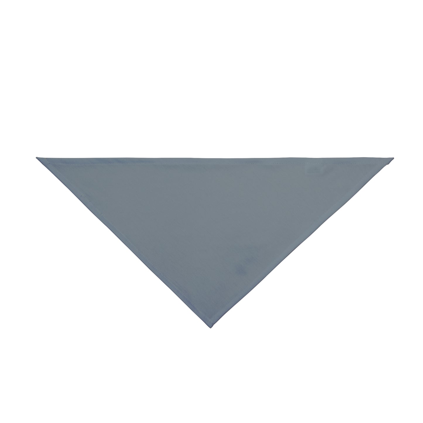 Pet Bandana | Storrs, Connecticut | Light