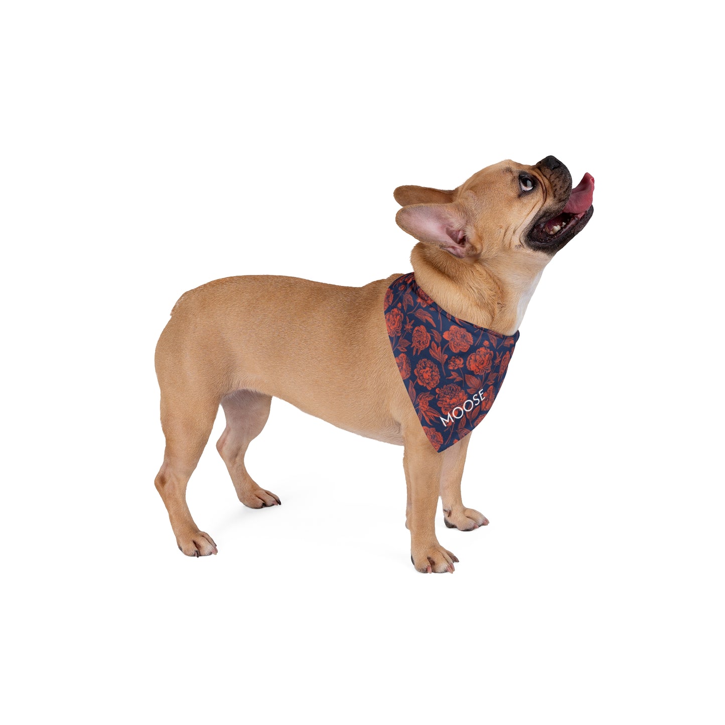 Pet Bandana- Personalized | Charlottesville, Virginia | Peony