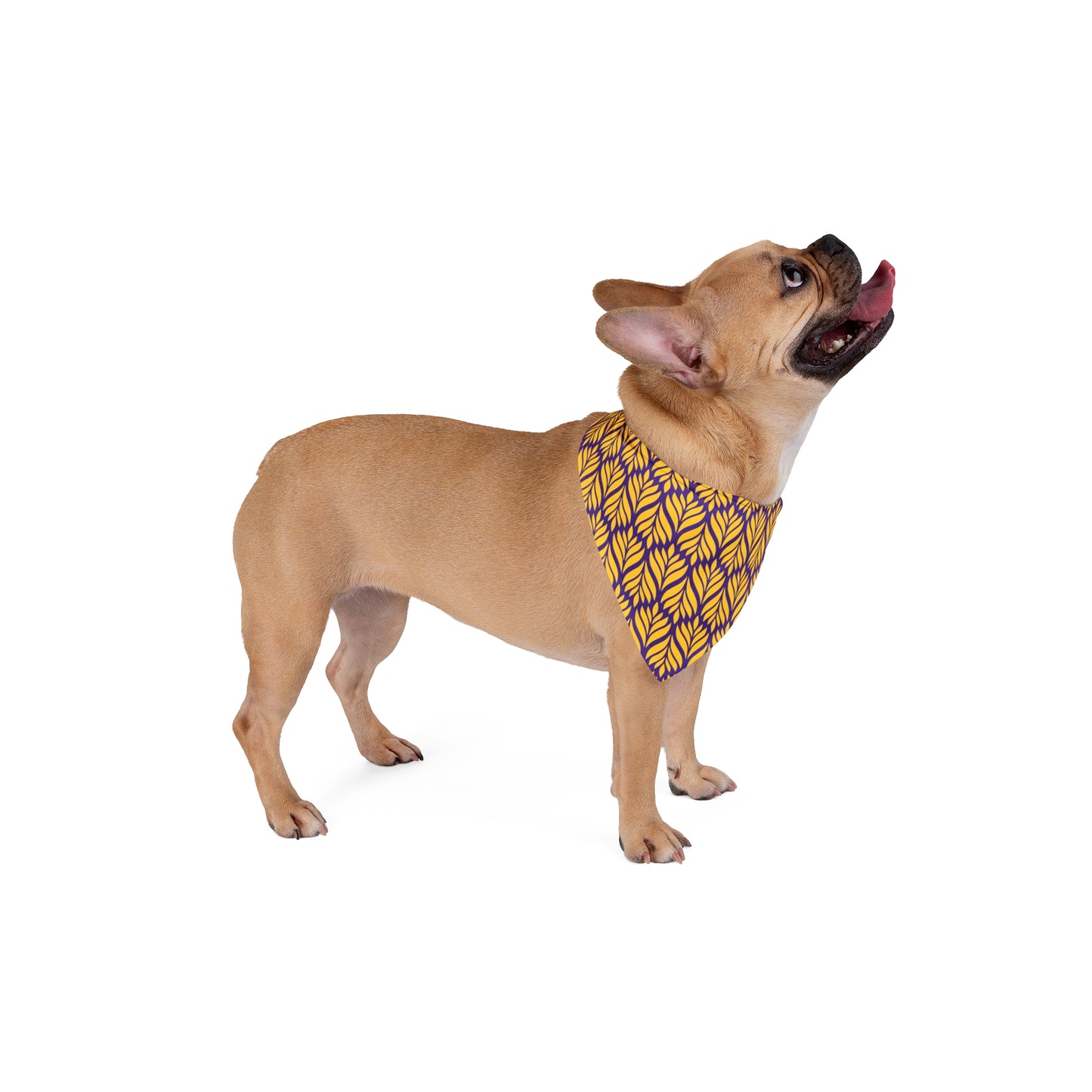 Pet Bandana | Baton Rouge, Louisiana | Palm