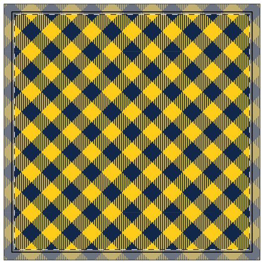 Napkins | Ann Arbor, Michigan | Gingham