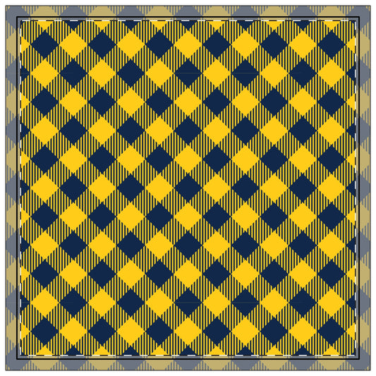 Napkins | Yellow & Blue | Gingham